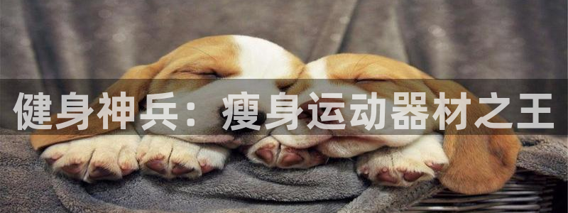 意昂体育4招商电话是多少啊：健身神兵：瘦身运动器材之