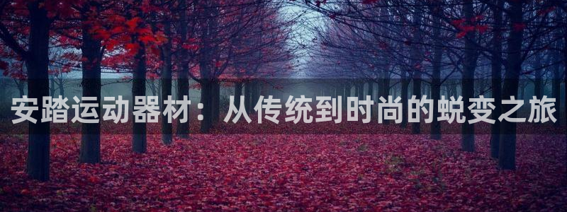 意昂体育4平台注册要钱吗是真的吗：安踏运动器材：从传