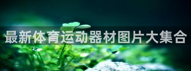 意昂体育4是干嘛的公司：最新体育运动器材图片大集合
