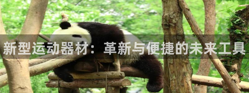 意昂体育4招商电话是多少：新型运动器材：革新与便捷的