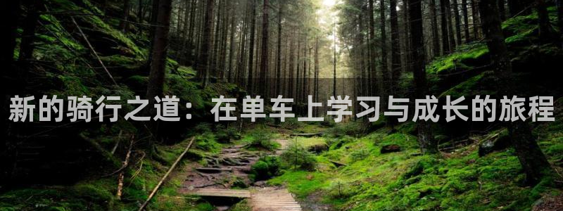 意昂体育4招商电话是多少号码：新的骑行之道：在单车上