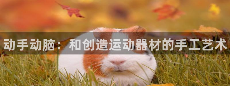 意昂体育4平台假的吗是真的吗：动手动脑：和创造运动器