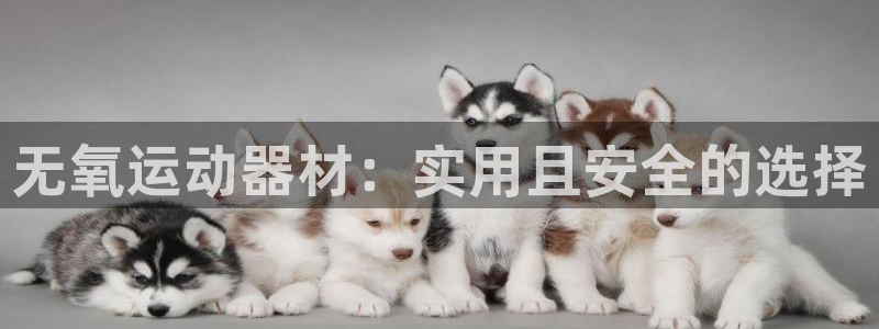 意昂4官方：无氧运动器材：实用且安全的选择