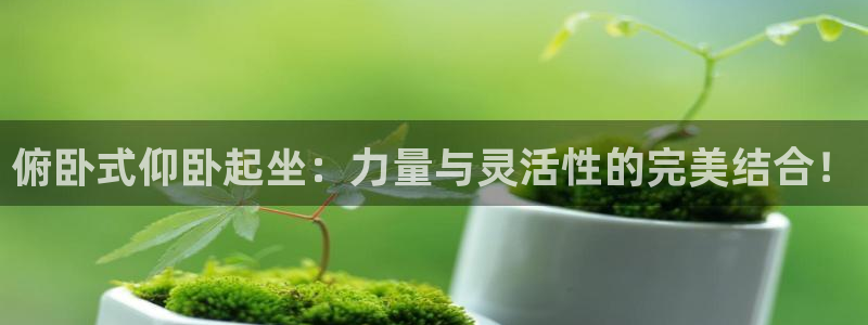 意昂4集团：俯卧式仰卧起坐：力量与灵活性的完美结合！