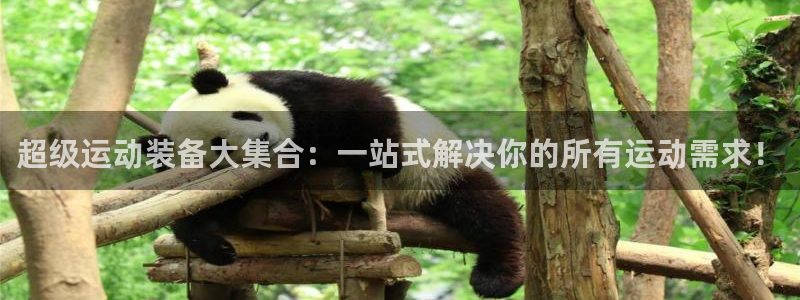 意昂4科技：超级运动装备大集合：一站式解决你的所有运