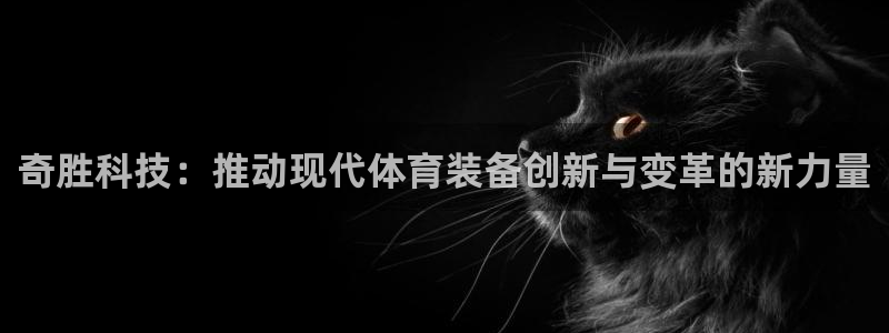 意昂体育4平台注册要钱吗安全吗：奇胜科技：推动现代体