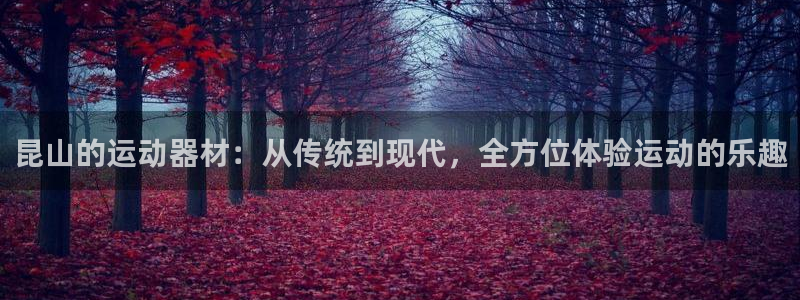 意昂体育4招商电话号码查询：昆山的运动器材：从传统到