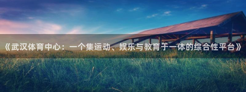 意昂体育4平台注册流程图：《武汉体育中心：一个集运动