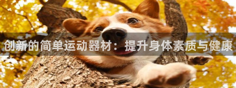 意昂体育4招商电话地址查询：创新的简单运动器材：提升