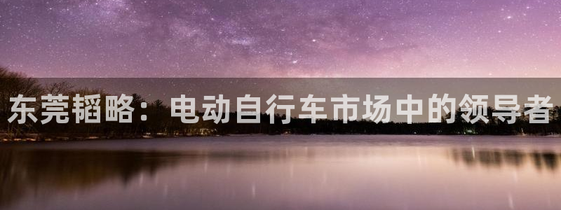 意昂体育4平台注册流程视频：东莞韬略：电动自行车市场