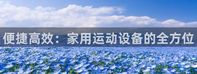 意昂体育4平台：便捷高效：家用运动设备的全方位