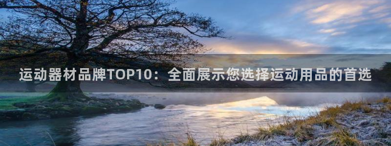 意昂体育4平台注册流程图：运动器材品牌TOP10：全