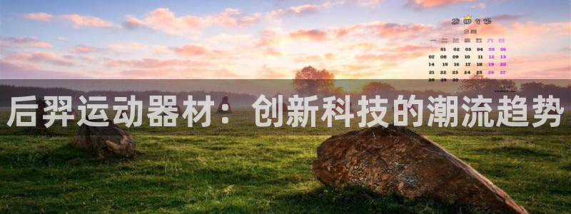 意昂4科技：后羿运动器材：创新科技的潮流趋势