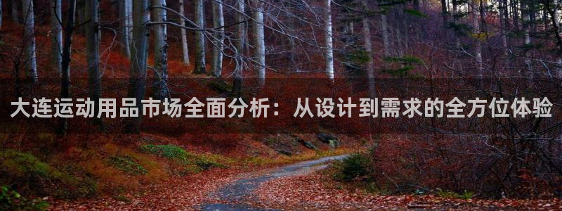 意昂4神州：大连运动用品市场全面分析：从设计到需求的