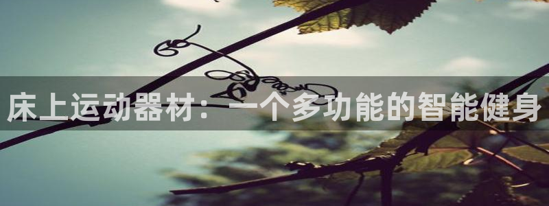 意昂4集团官网首页：床上运动器材：一个多功能的智能健