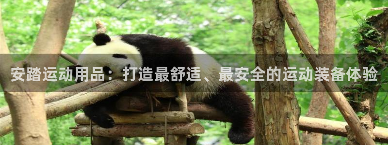 意昂体育4招商电话地址查询：安踏运动用品：打造最舒适