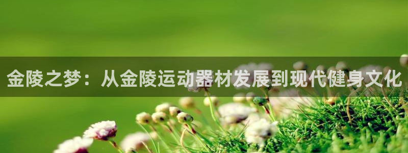 海南意昂体育4：金陵之梦：从金陵运动器材发展到现代健