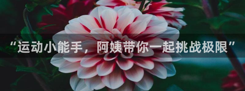 意昂体育4官方客服电话：“运动小能手，阿姨带你一起挑战极限”