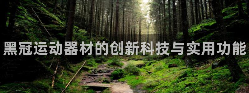 意昂4娱乐首页官网下载：黑冠运动器材的创新科技与实用