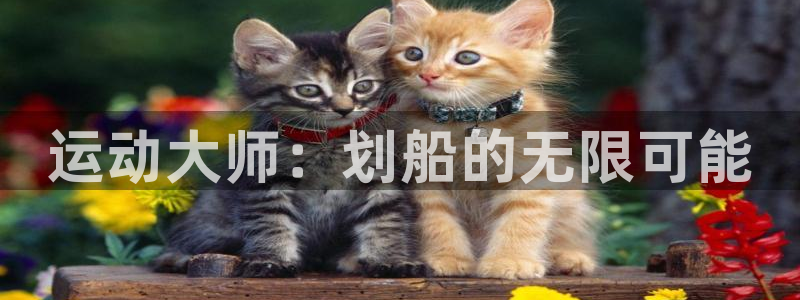 意昂体育4软件：运动大师：划船的无限可能