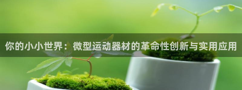 意昂体育4开户：你的小小世界：微型运动器材的革命性创
