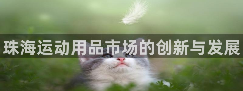 意昂体育4平台是正规平台吗知乎：珠海运动用品市场的创