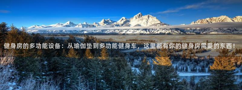 意昂体育4招商电话号码是多少啊：健身房的多功能设备：