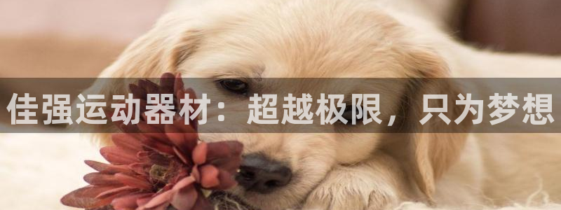 意昂4集团官网首页：佳强运动器材：超越极限，只为梦想